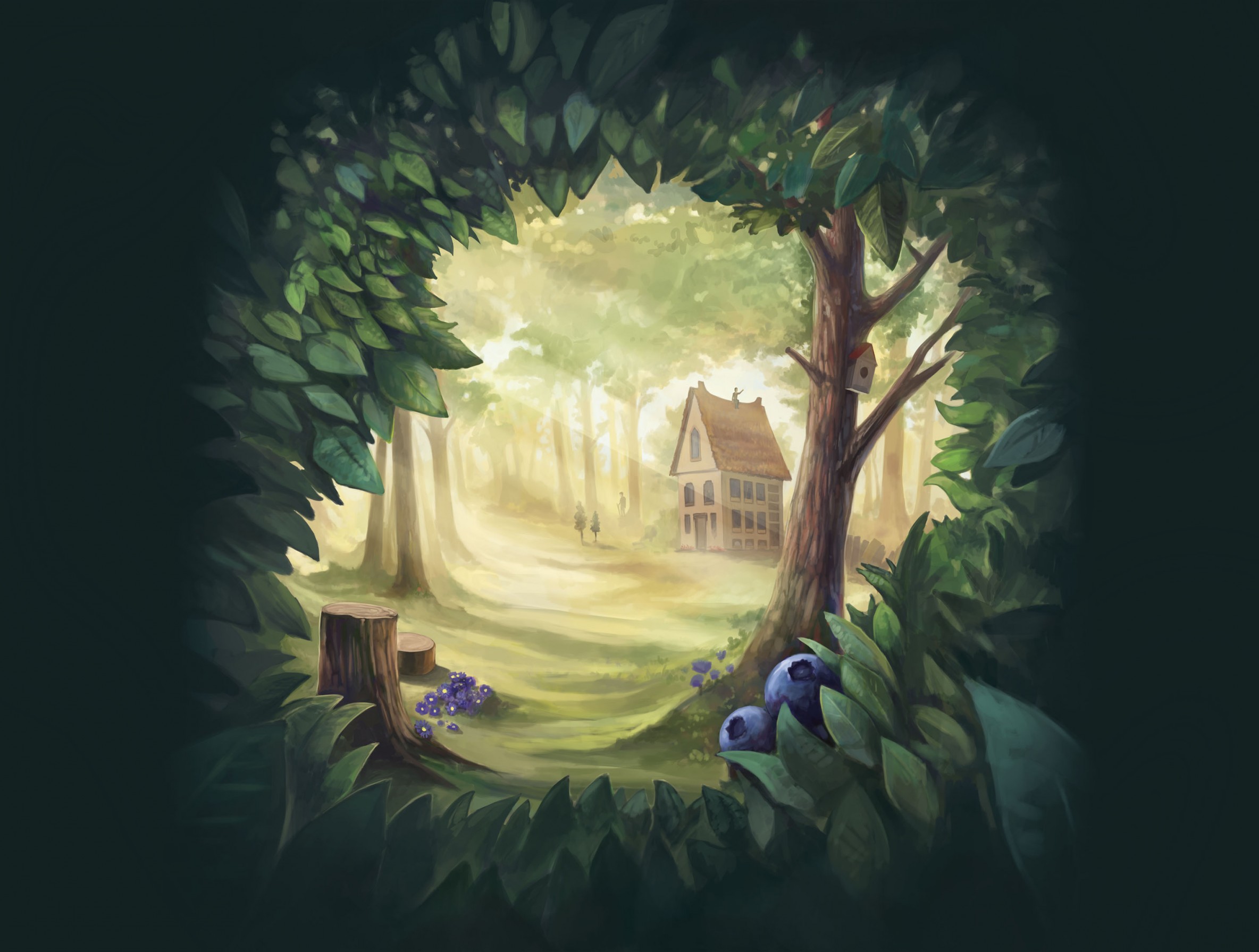 slider image